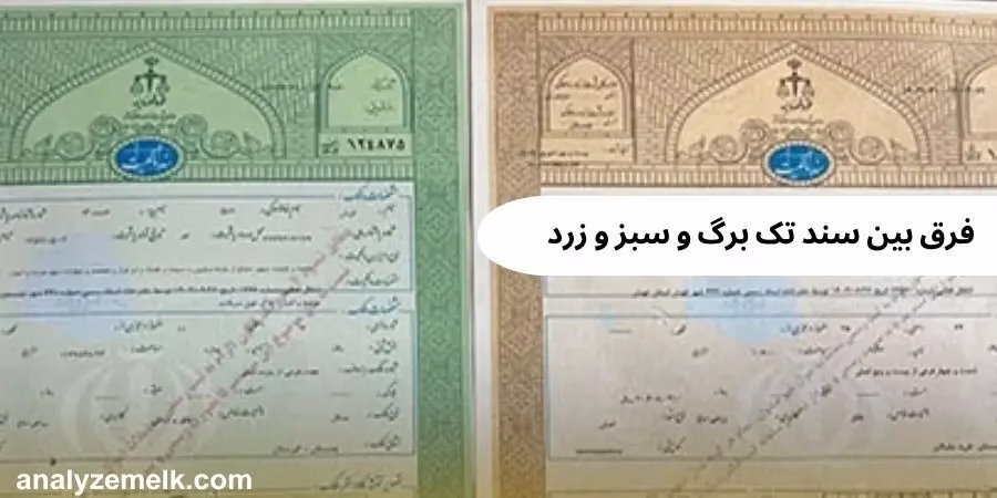 فرق بین سند تک برگ و سبز و زرد